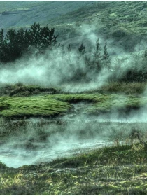 Odio labore dolore - Mariani SPA 