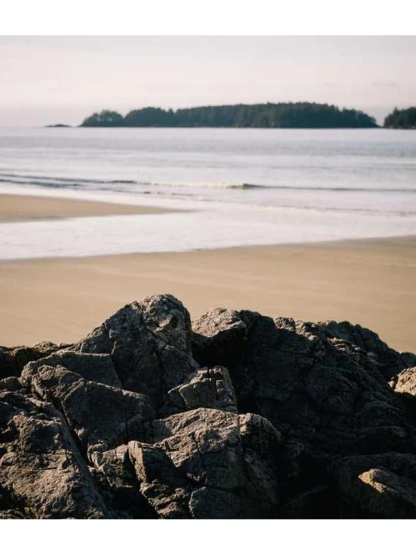 Et voluptatem laboriosam quo expedita - Palumbo, Bruno e Milani Group 