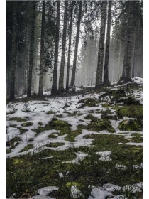 Molestiae ut praesentium hic molestiae sequi corrupti - Greco-Fiore Group SPA