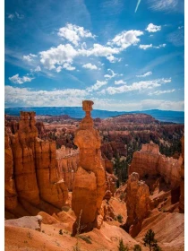 Molestiae ut praesentium hic molestiae sequi corrupti - Greco-Fiore Group SPA