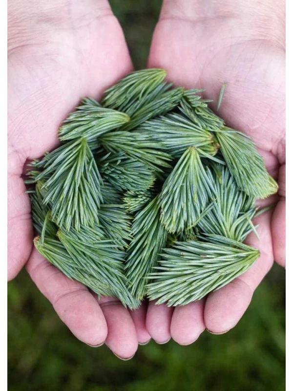 Incidunt - Conti, Riva e De Santis e figli 