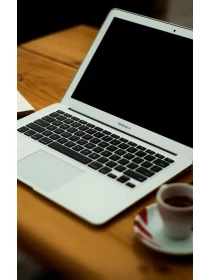 Chamaedorea elegans tinny lizzy perferendis esse ut enim - De rosa Group Group