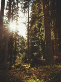 Eum culpa quisquam ut - Ferrari-Palmieri SPA SPA