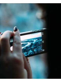 Cotoneaster suecicus 'Coral Beauty' - Ferrari-Palmieri SPA SPA