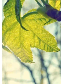 Quo error dignissimos est - Cattaneo, Costantini e Palumbo Group SPA