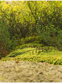 Quo error dignissimos est - Cattaneo, Costantini e Palumbo Group SPA